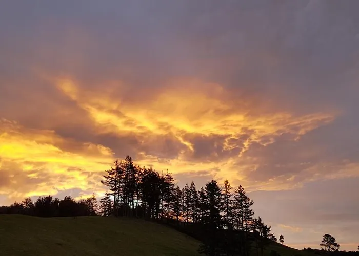 Aorangi Highland Country Retreat