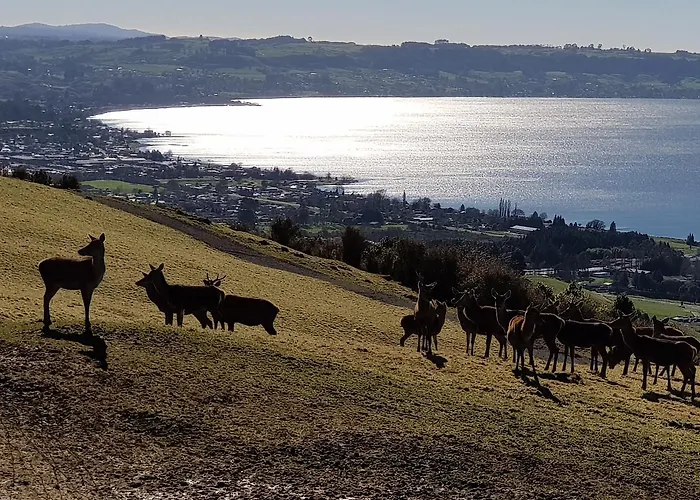 Aorangi Highland Country Retreat Holiday home Rotorua